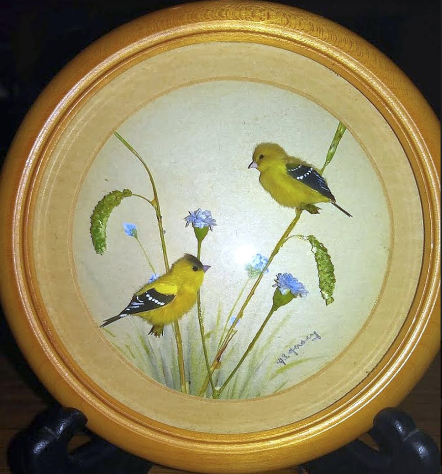 Common Goldfinch (5-inch)